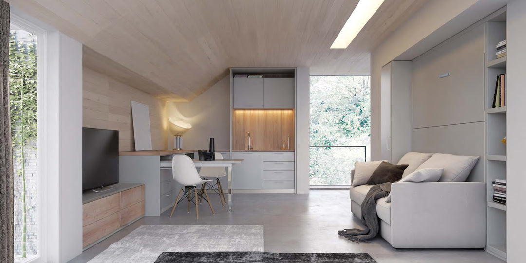 Lateral horizontal sofa wall bed. Modern living room with a sofa, coffee table, and bookshelf.